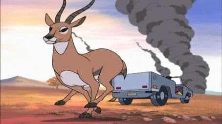 Wildfire / White Wall Of Terror