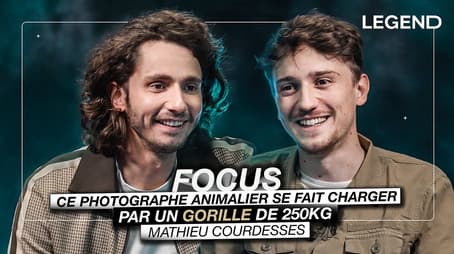 This wildlife photographer is charged by a 250 kg gorilla (Mathieu Courdesses)