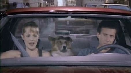 Escape from New York