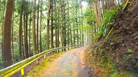 A Winding Road Through the Kii Mountains