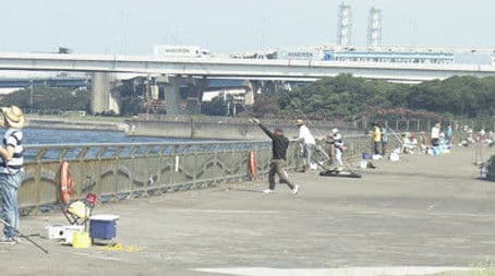 Hooked on Fishing in Tokyo Bay