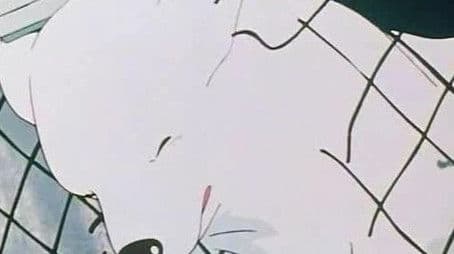 Belle Meets Sebastian