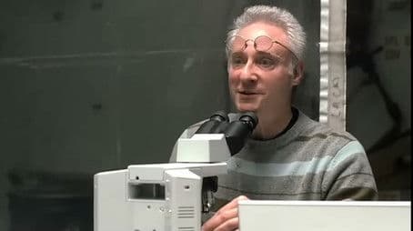 Trees Made of Glass (1)