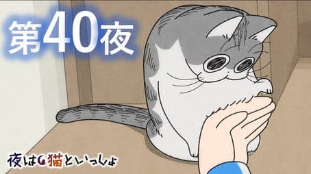 Night 40: Wanting to Stop My Cat From Getting In the Way