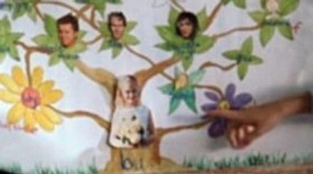 My Family Up A Tree
