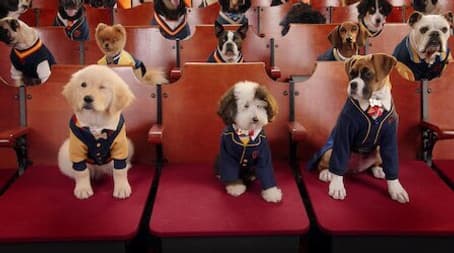 The Constellation Fades