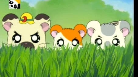 In A Pinch A Rival Appears