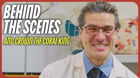 And Crown the Coral King - BTS