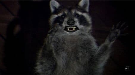 Something's Up There