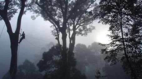 Deep Jungle: New Frontiers