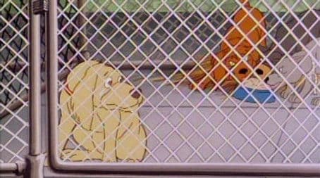 Punky Wise and Pound Foolish / A Small Mistake