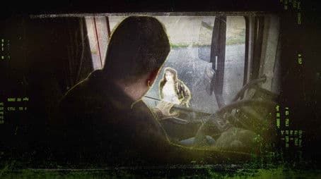 The Trucker-Murderer