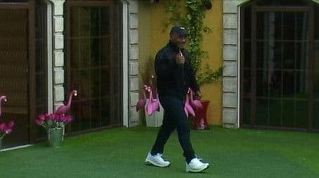 VIP Brother 2016 - Daily