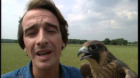 Le bêtisier des Sorciers