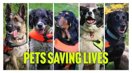 Pets Saving Lives