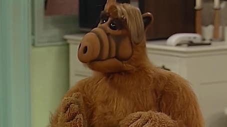 Torn Between Two Lovers