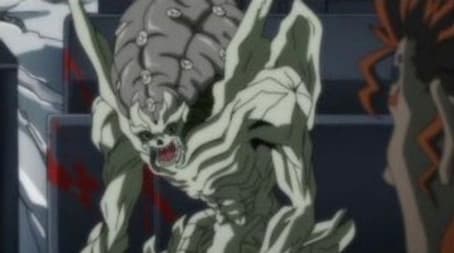 The Brothers Die at Dawn