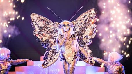 Behind The Mask - Anouk Matton (Vlinder)