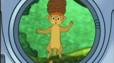 Little Kinkajou is in Beehive Trouble