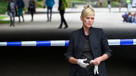 The Seeds of Violence