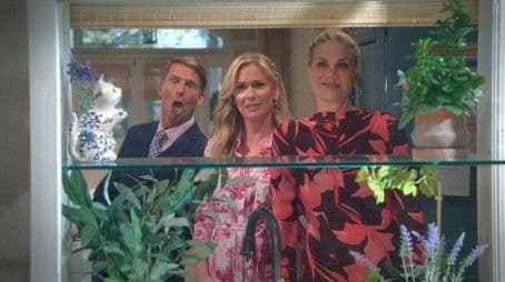 Don't Dangle a Dream