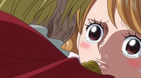 The End of the Adventure! Sanji's Resolute Proposal!