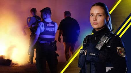 The Mainz Fire Devil