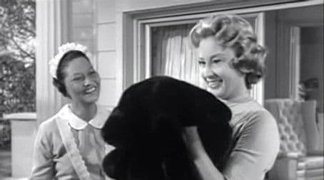 Mrs. Bixby and the Colonel's Coat