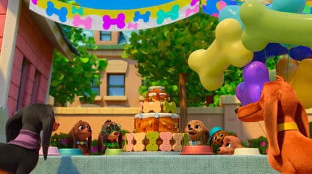 Pup Meet-Up / Happy Bark-Day!