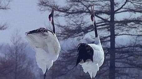 Hokkaido: Garden of the Gods