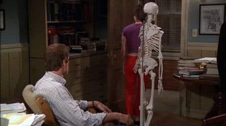 Stumble in the Bronx