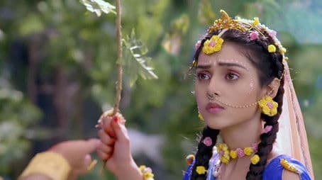 Radha's Concern for Krishna