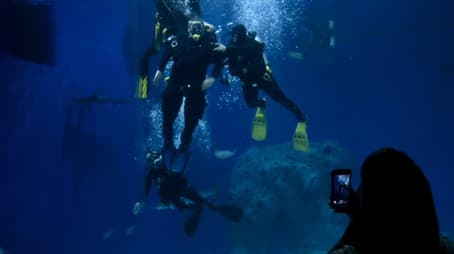 Preben and the sharks