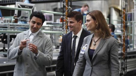 The Beaver in the Otter