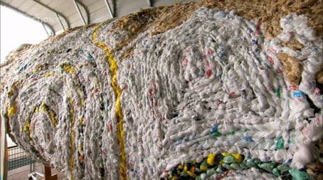 Pop, the Tragic Dragon