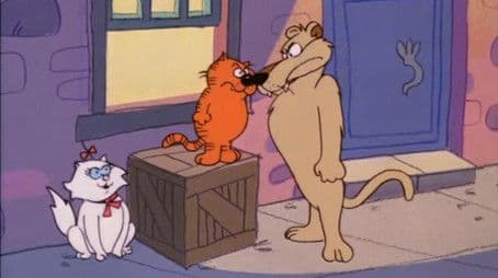 Lion Around the House