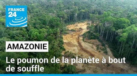 Amazonie, le poumon de la planète