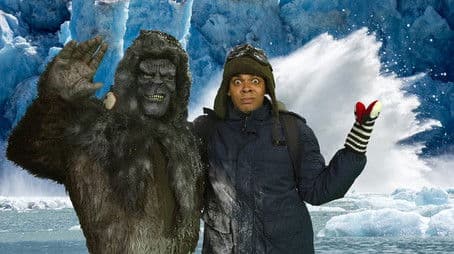 You Could Stop Global Warming?