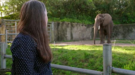 Sea You Later, Turtles