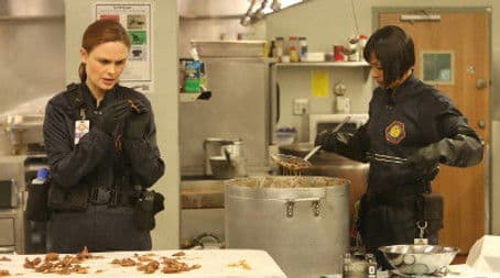 The Mystery in the Meat