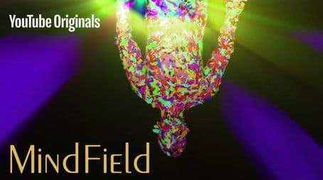 The Psychedelic Experience