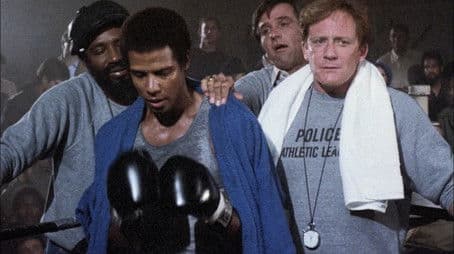 Honk if You're a Goose