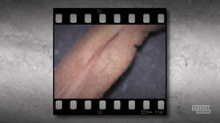 The Night Before Halloween