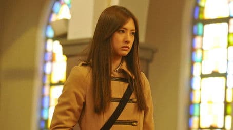 The end...The other culprit