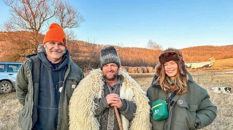 Haunted forest in Transsylvania