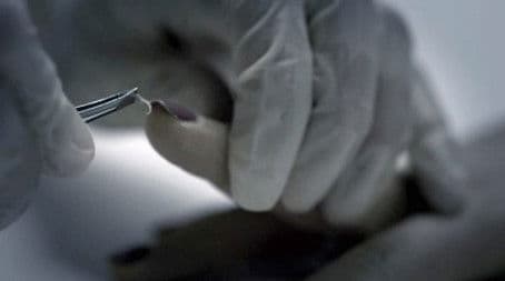 The Butcher of Buffalo