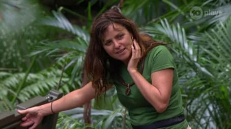 Welcome to the Jungle