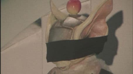 Ribbit! The March of Tsukuba's Giant Frog