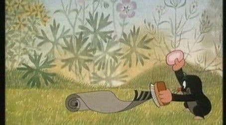 The Mole and the Carpet