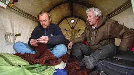 En sæl på Svalbard